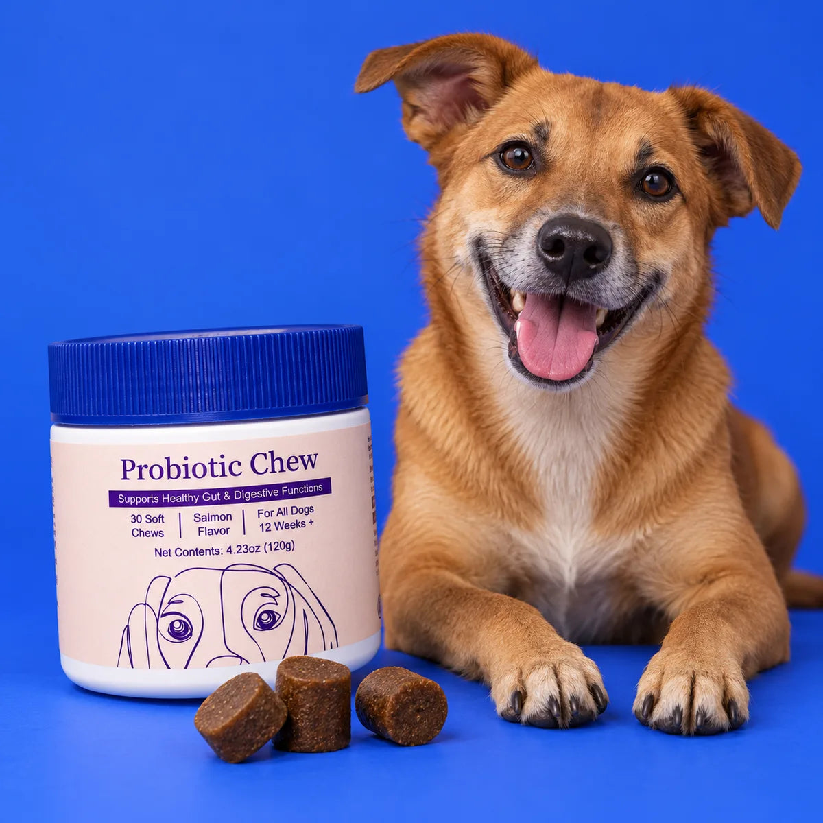 The Gut Chew Your Dog Will Beg For